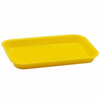 塑料器械盘 小号